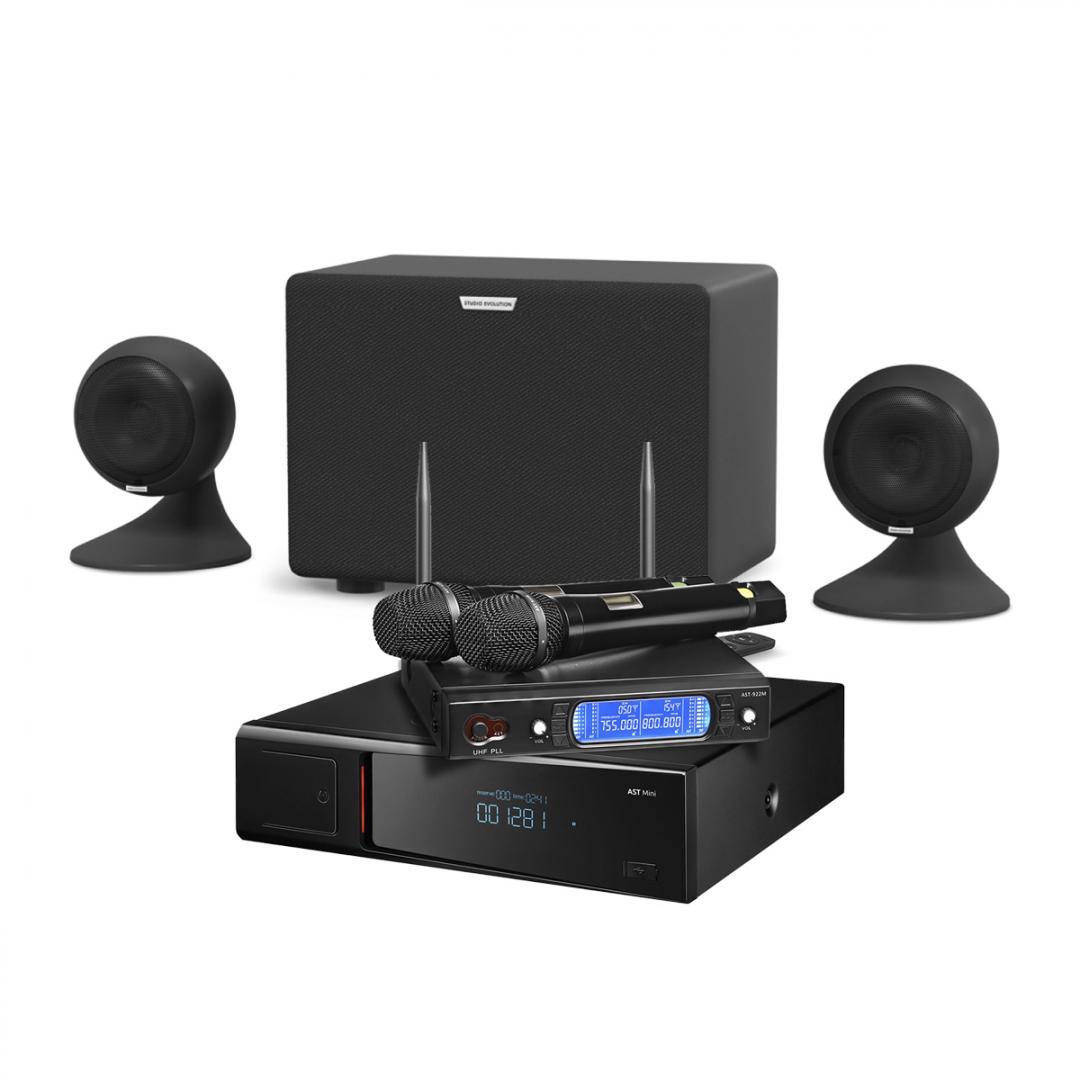 караоке-комплект AST Mini Sound Sphere в Чаплыгине