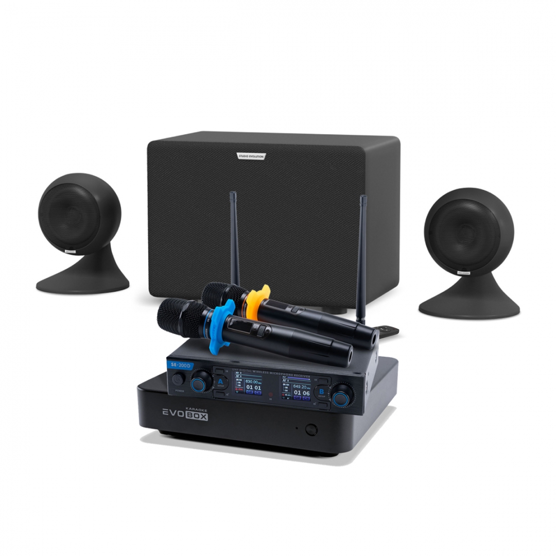 караоке-комплект EVOBOX + EvoSound Sphere 2.1 в Чаплыгине