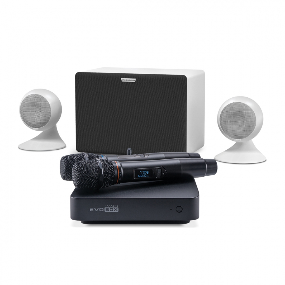 караоке-комплект EVOBOX Classic + EvoSound Sphere 2.1 в Чаплыгине