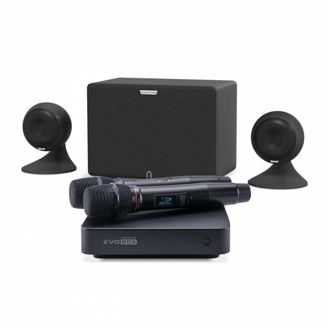 караоке-комплект EVOBOX Plus + EvoSound Sphere 2.1 в Чаплыгине