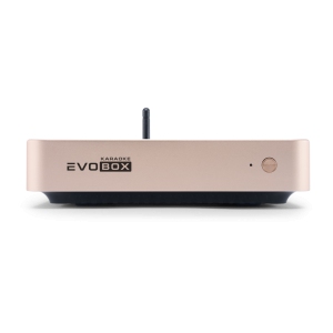 EVOBOX Classic караоке-система для дома в Чаплыгине