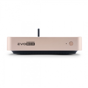 EVOBOX Plus караоке-система для дома в Чаплыгине