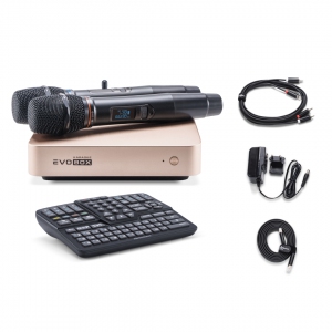 EVOBOX Plus караоке-система для дома в Чаплыгине