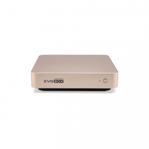 EVOBOX с микрофонами в Чаплыгине